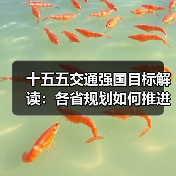 十五五交通强国目标解读:各省规划如何推进?(图2) 十五五交通强国目标解读:各省规划如何推进?(图2)