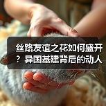 丝路友谊之花如何盛开?异国基建背后的动人故事(图3) 丝路友谊之花如何盛开?异国基建背后的动人故事(图3)