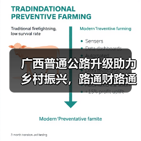 广西普通公路升级助力乡村振兴,路通财路通(图2) 广西普通公路升级助力乡村振兴,路通财路通(图2)