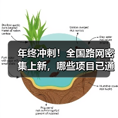 年终冲刺!全国路网密集上新,哪些项目已通车?(图3) 年终冲刺!全国路网密集上新,哪些项目已通车?(图3)