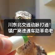 川东北交通动脉打通!镇广高速通车助革命老区振兴(图3) 川东北交通动脉打通!镇广高速通车助革命老区振兴(图3)