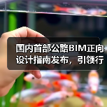 国内首部公路BIM正向设计指南发布，引领行业数字化转型