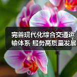 完善现代化综合交通运输体系 服务高质量发展与共同富裕(图4) 完善现代化综合交通运输体系 服务高质量发展与共同富裕(图4)