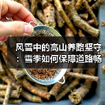 风雪中的高山养路坚守:雪季如何保障道路畅通?(图3) 风雪中的高山养路坚守:雪季如何保障道路畅通?(图3)