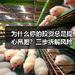 为什么你的投资总是提心吊胆？三步拆解风险，让收益回归安心