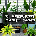 为什么你的投资收益总是坐过山车?拆解风险就能稳住了(图3) 为什么你的投资收益总是坐过山车?拆解风险就能稳住了(图3)