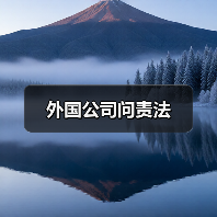 外国公司问责法