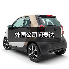 外国公司问责法(图4) 外国公司问责法(图4)