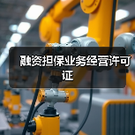融资担保业务经营许可证