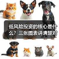 低风险投资的核心是什么?三张图表讲清楚对比逻辑(图2) 低风险投资的核心是什么?三张图表讲清楚对比逻辑(图2)
