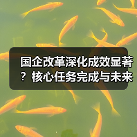 国企改革深化成效显著?核心任务完成与未来方向解析(图4) 国企改革深化成效显著?核心任务完成与未来方向解析(图4)
