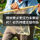 煤炭需求支撑力未来如何？能否持续支撑市场？