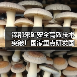 深部采矿安全高效技术突破！国家重点研发国际合作项目成功立项