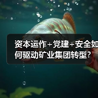 资本运作+党建+安全如何驱动矿业集团转型？