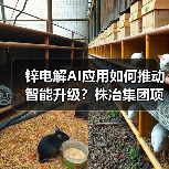 锌电解AI应用如何推动智能升级？株冶集团项目通过验收降耗30kWh