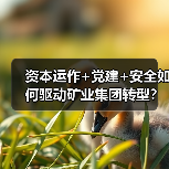 资本运作+党建+安全如何驱动矿业集团转型?(图4) 资本运作+党建+安全如何驱动矿业集团转型?(图4)