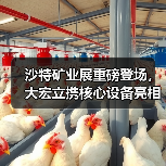 沙特矿业展重磅登场，大宏立携核心设备亮相