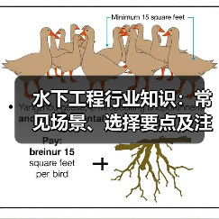 水下工程行业知识:常见场景、选择要点及注意事项(图3) 水下工程行业知识:常见场景、选择要点及注意事项(图3)