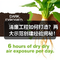 清廉工程如何打造？两大示范创建经验揭秘！