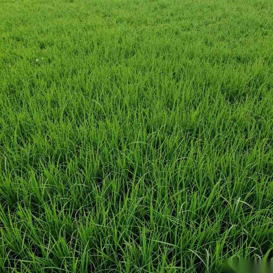 规范建筑市场秩序:招标投标领域故障排查与维护保养全攻略