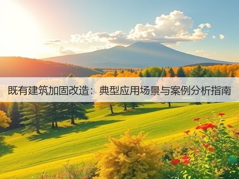 既有建筑加固改造：典型应用场景与案例分析指南