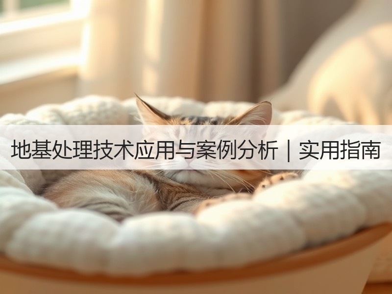 地基处理技术应用与案例分析｜实用指南