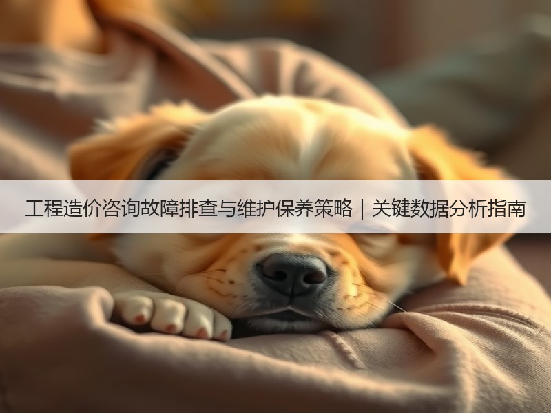 工程造价咨询故障排查与维护保养策略｜关键数据分析指南