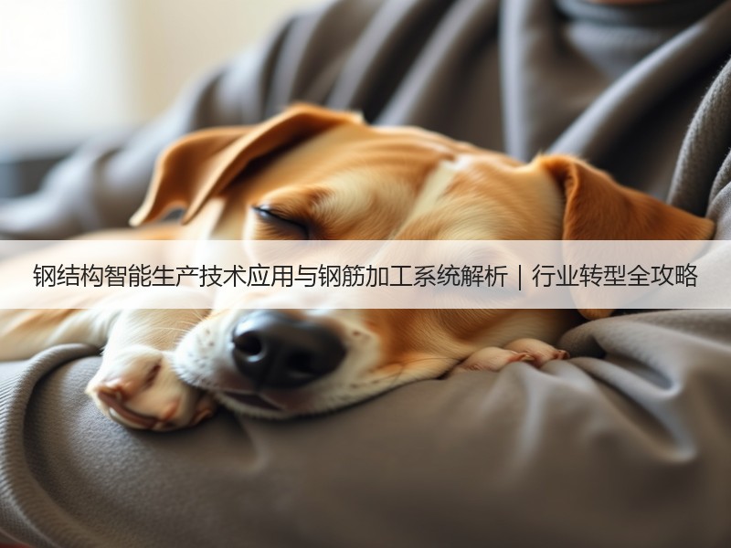 钢结构智能生产技术应用与钢筋加工系统解析｜行业转型全攻略