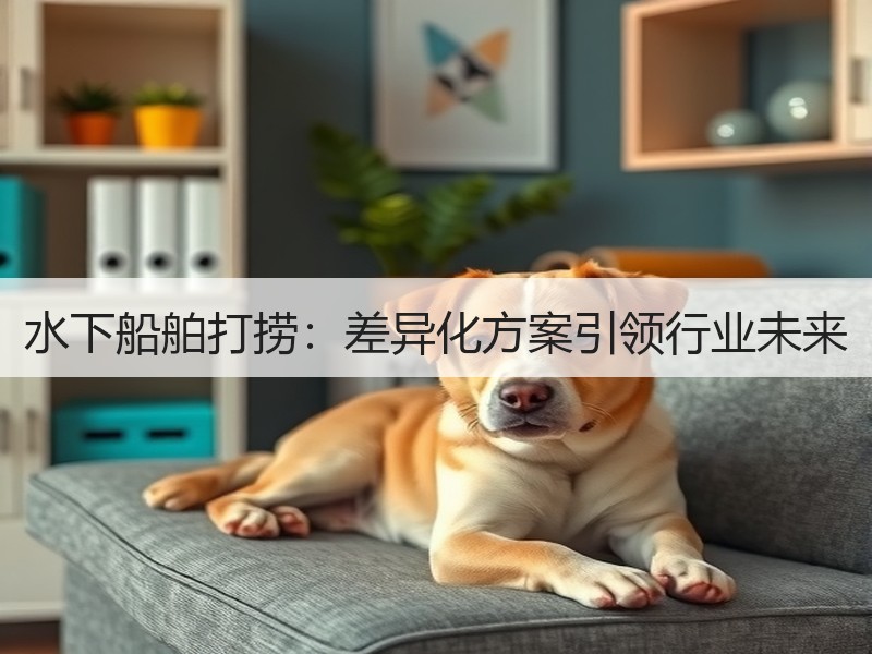 水下船舶打捞：差异化方案引领行业未来
